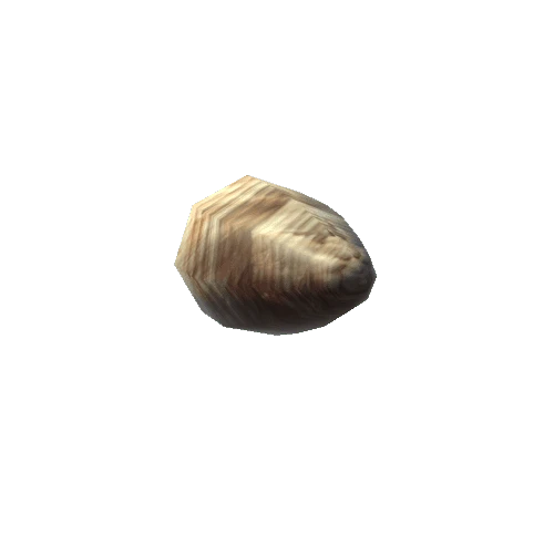 Sea Shell 0